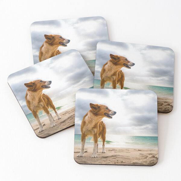 Item preview, Dog standing at beach of oa Vista designed and sold by raphotography88.