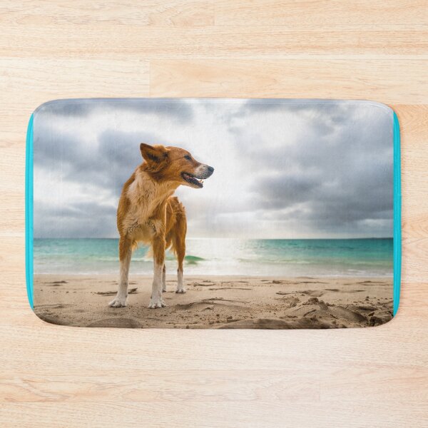 Item preview, Dog standing at beach of oa Vista designed and sold by raphotography88.