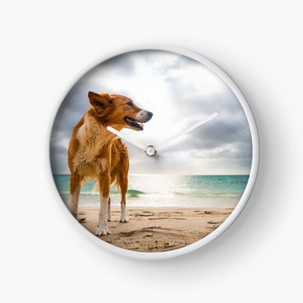 Item preview, Dog standing at beach of oa Vista designed and sold by raphotography88.