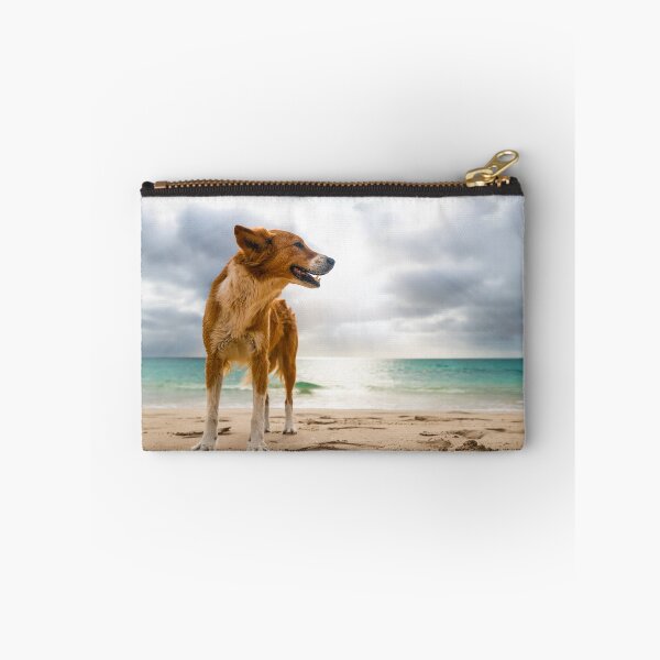 Item preview, Dog standing at beach of oa Vista designed and sold by raphotography88.