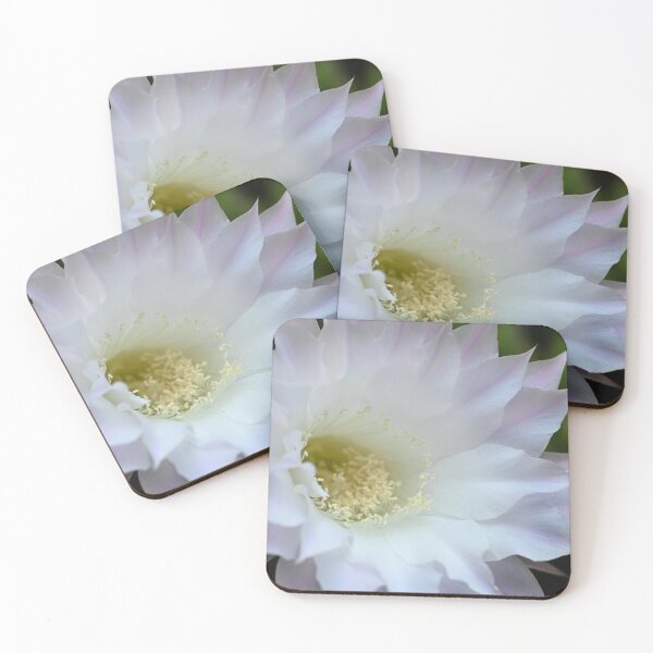 Item preview, Cactus flower designed and sold by bagiolita.