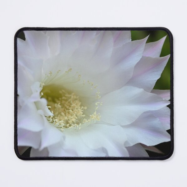 Item preview, Cactus flower designed and sold by bagiolita.