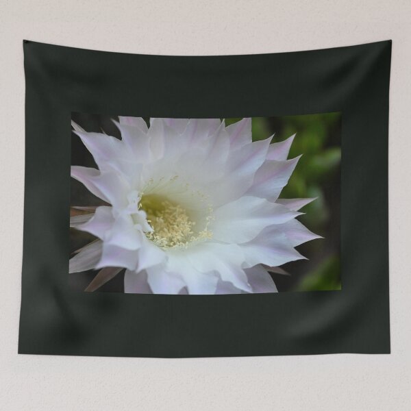 Item preview, Cactus flower designed and sold by bagiolita.