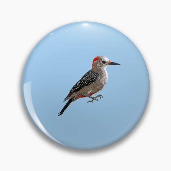 Item preview, Golden-fronted Woodpecker Color Design  designed and sold by designsasstultd.