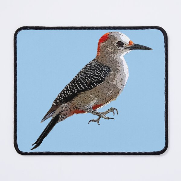 Item preview, Golden-fronted Woodpecker Color Design  designed and sold by designsasstultd.