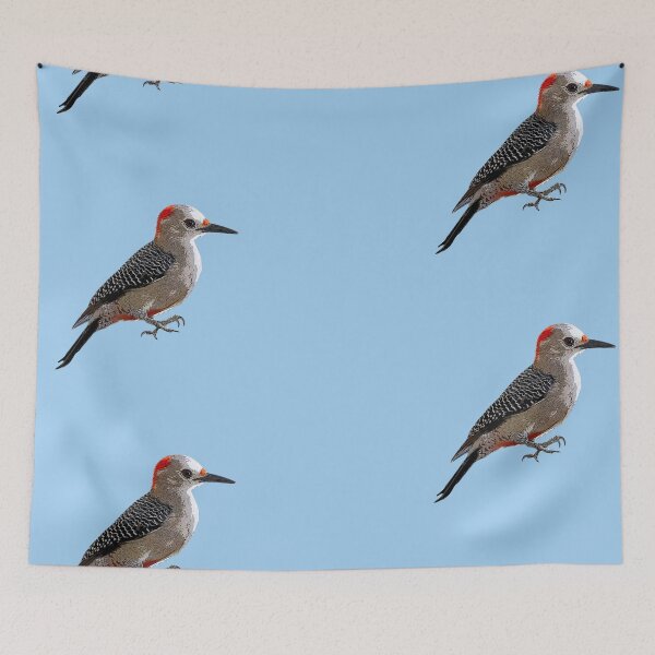 Item preview, Golden-fronted Woodpecker Color Design  designed and sold by designsasstultd.