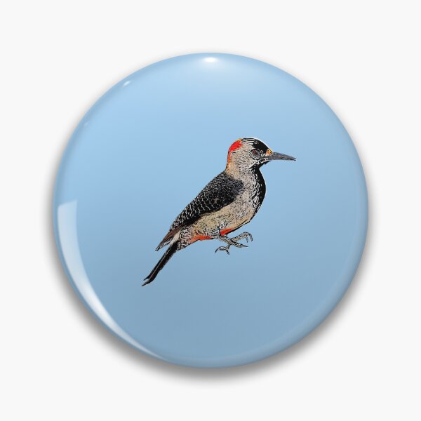 Item preview, Golden-fronted Woodpecker Black Alternate Design  designed and sold by designsasstultd.