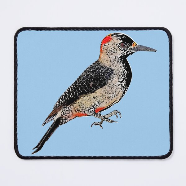 Item preview, Golden-fronted Woodpecker Black Alternate Design designed and sold by designsasstultd.