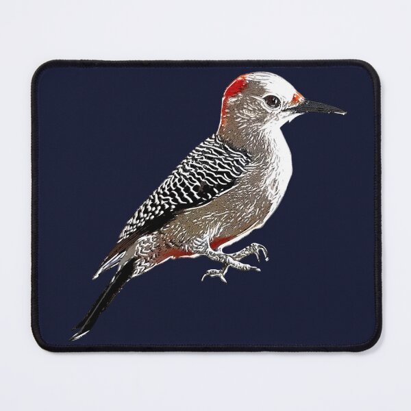 Item preview, Golden-fronted Woodpecker White Alternate Design designed and sold by designsasstultd.