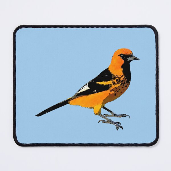 Item preview, Spot-breasted Oriole Color Design  designed and sold by designsasstultd.