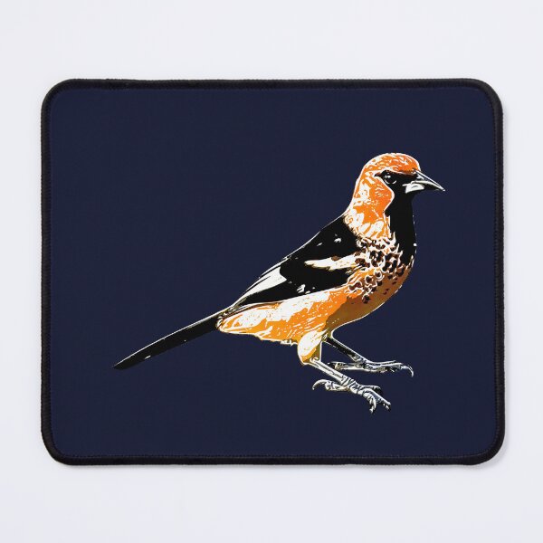 Item preview, Spot-breasted Oriole White Alternate Design designed and sold by designsasstultd.