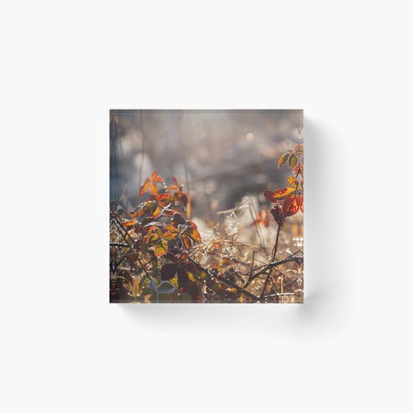 Item preview, Autumn morning designed and sold by Catrinann.
