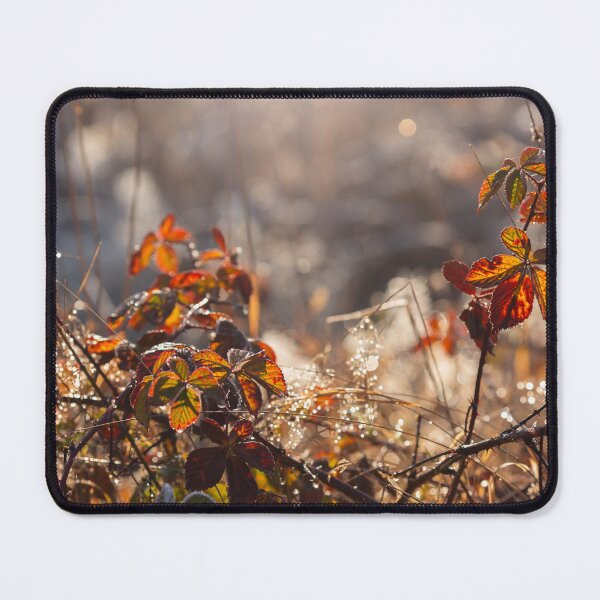 Item preview, Autumn morning designed and sold by Catrinann.