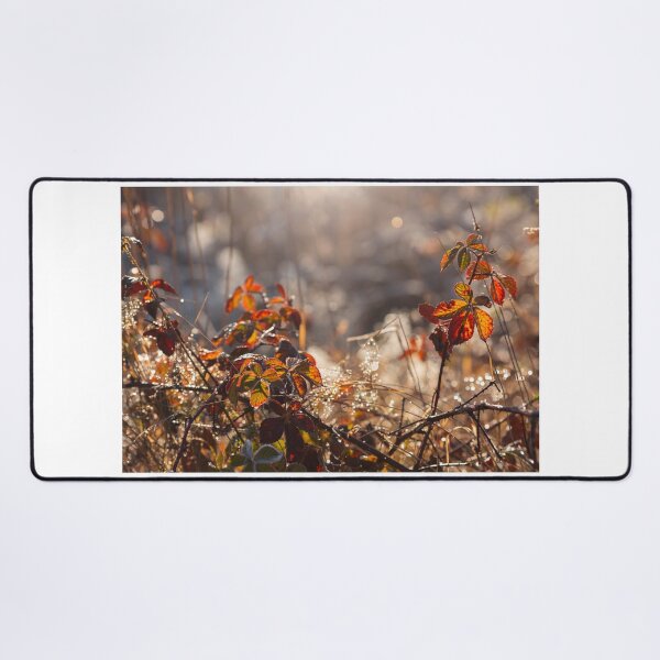 Item preview, Autumn morning designed and sold by Catrinann.