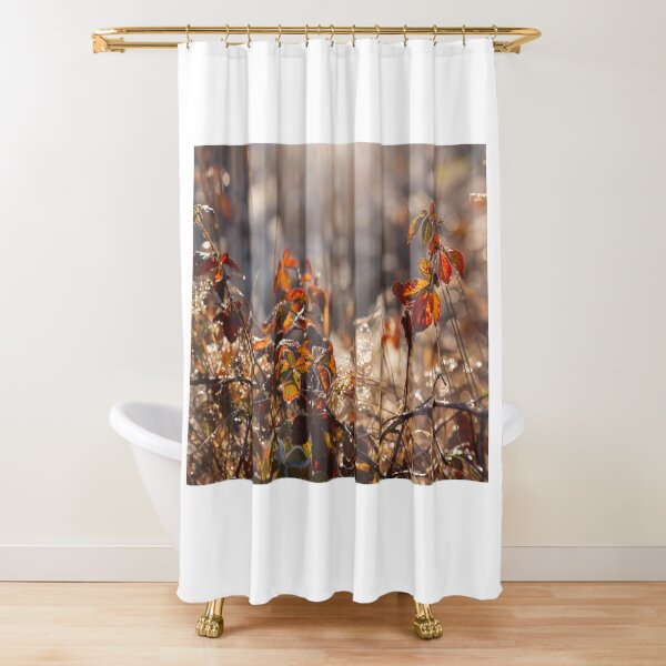 Item preview, Autumn morning designed and sold by Catrinann.