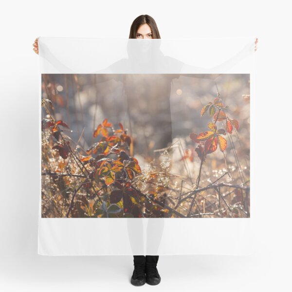 Item preview, Autumn morning designed and sold by Catrinann.