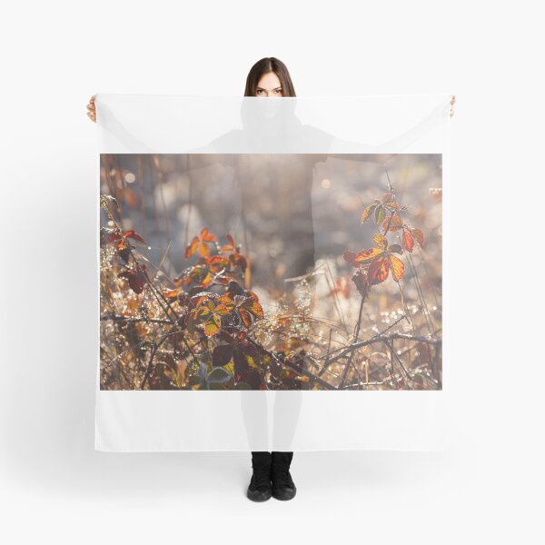 Item preview, Autumn morning designed and sold by Catrinann.