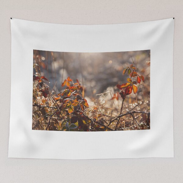 Item preview, Autumn morning designed and sold by Catrinann.