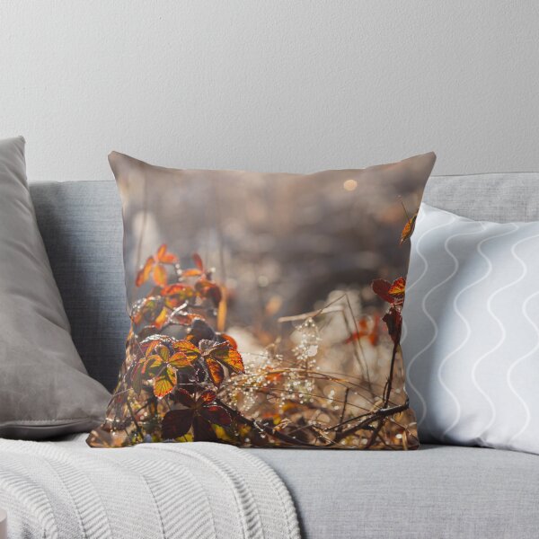 Item preview, Autumn morning designed and sold by Catrinann.