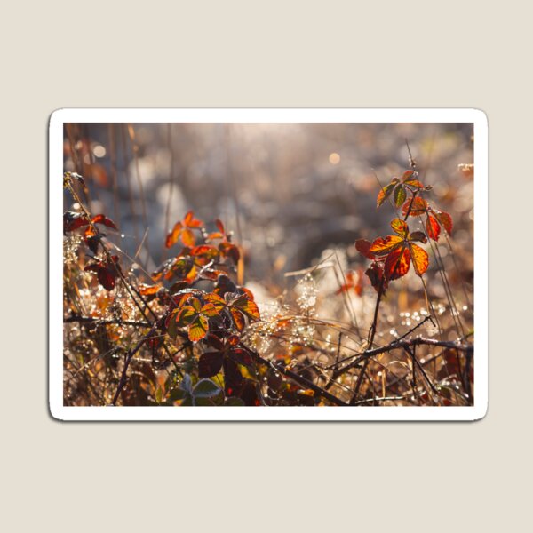 Item preview, mañana de otoño designed and sold by Catrinann.