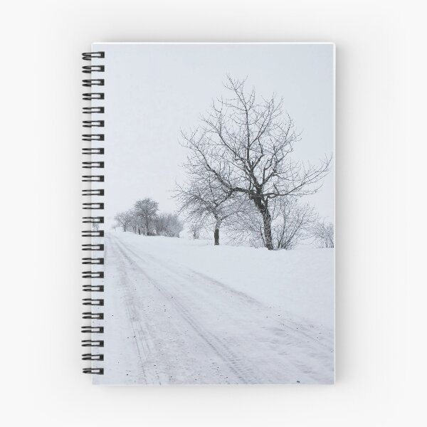 Item preview, Peaceful Snowy Road Journey Photograph designed and sold by Eva Studená Photography.