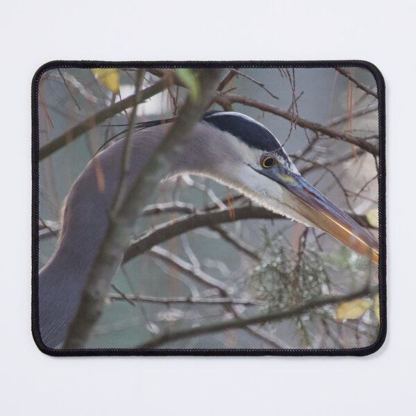 Item preview, Great Blue Heron designed and sold by Lsteuart.