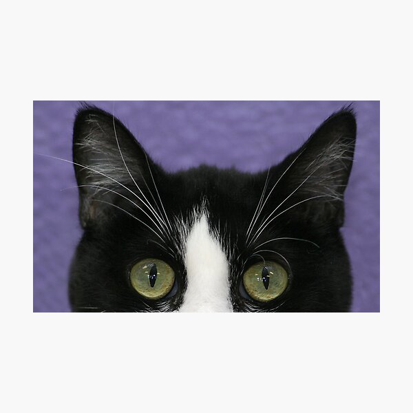 Item preview, Peak-A-Boo designed and sold by Susanne Correa.
