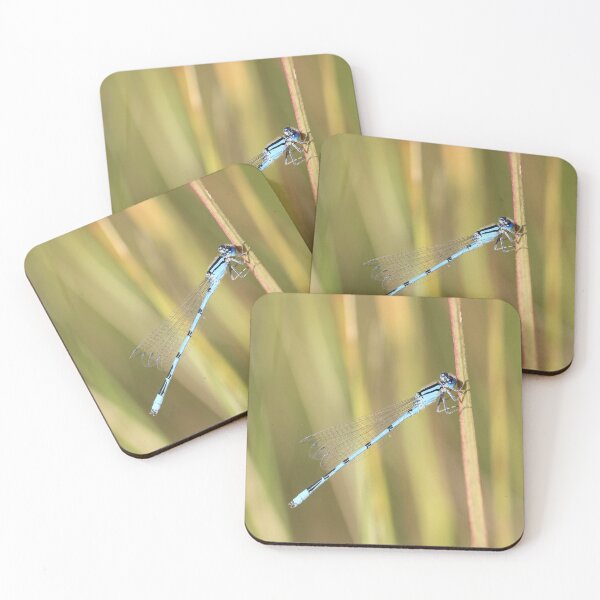 Item preview, Damselfly designed and sold by Lsteuart.