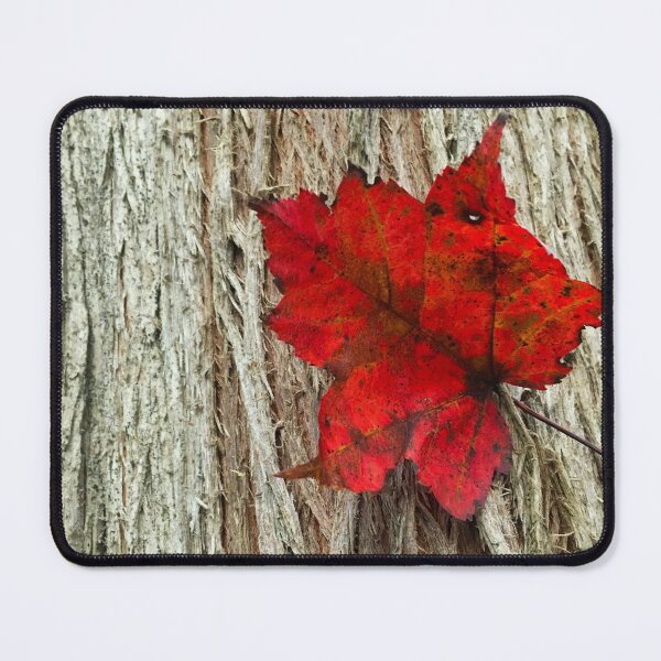 Item preview, Red autumn leaf designed and sold by Topmel.