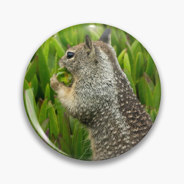 Item preview, Ground Squirrel in Greenery designed and sold by SafariByMarisa.