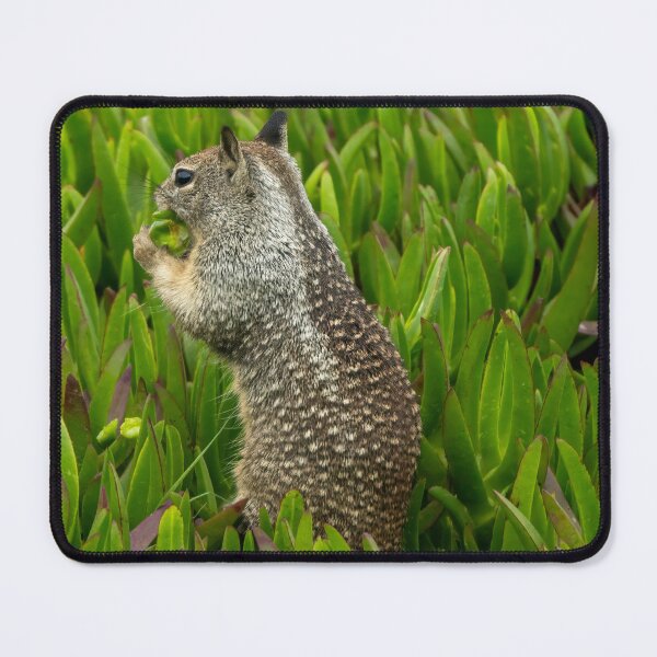 Item preview, Ground Squirrel in Greenery designed and sold by SafariByMarisa.