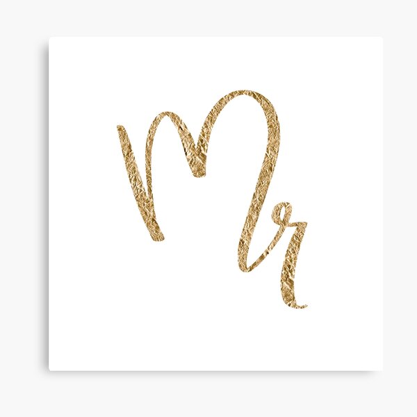 Mr. by Alice Monber Canvas Print