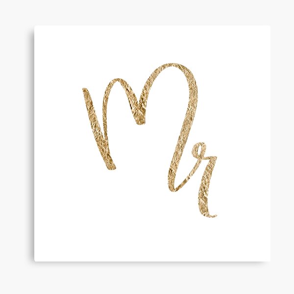 Mr. by Alice Monber Metal Print
