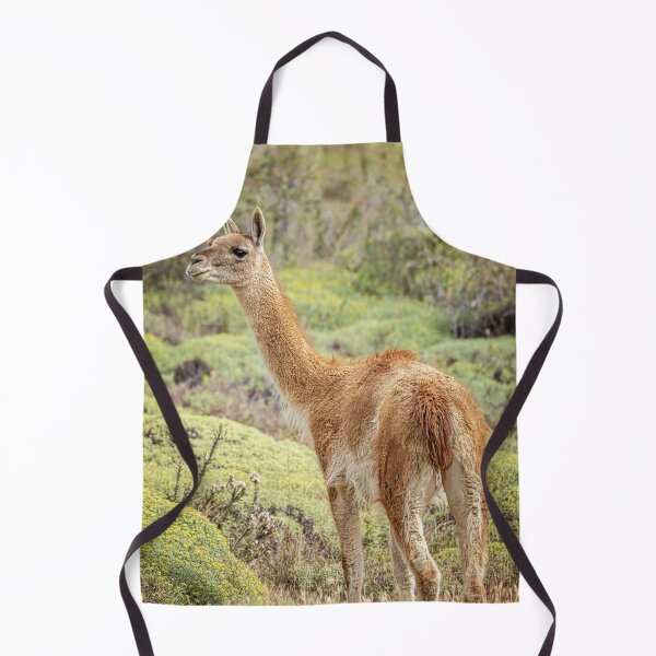 Item preview, Guanaco in Chile designed and sold by PhotoArt by Joan Carroll.