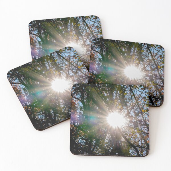 Item preview, Sunflare in the dense forest in autumn designed and sold by KRFNatureGifts.