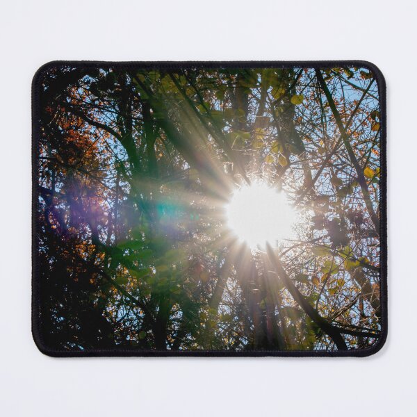 Item preview, Sunflare in the dense forest in autumn designed and sold by KRFNatureGifts.