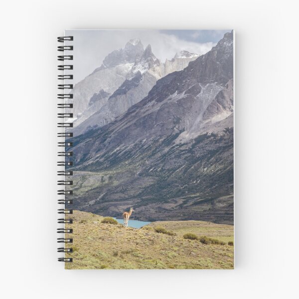 Item preview, Lone Guanaco on a Ridge in Southern Chile designed and sold by PhotoArt by Joan Carroll.