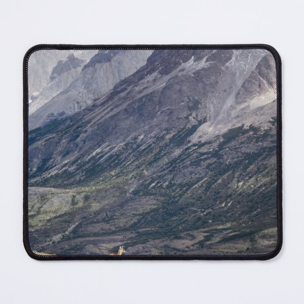 Item preview, Lone Guanaco on a Ridge in Southern Chile designed and sold by PhotoArt by Joan Carroll.