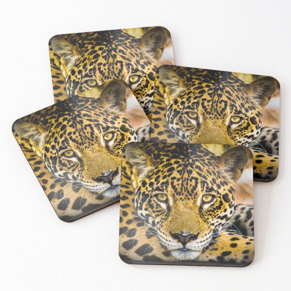 Item preview, Jaguar Portrait designed and sold by PTY4u.