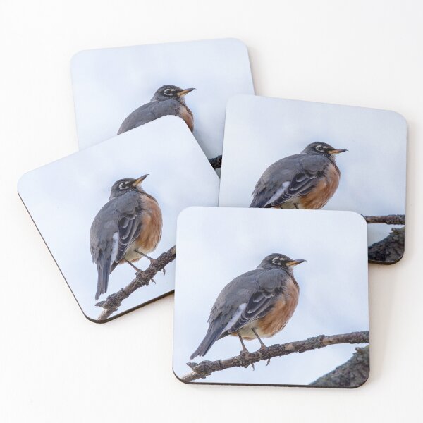 Item preview, American Robin on a Branch designed and sold by KRFNatureGifts.