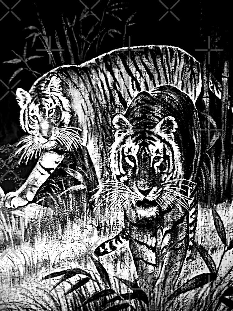 Cobija del Tigre Mexican Blanket Tiger Meme