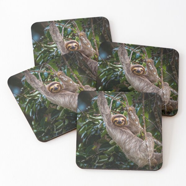 Item preview, Brown-throated three-toed sloth designed and sold by PTY4u.