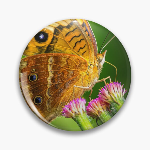 Item preview, Common buckeye butterfly designed and sold by PTY4u.