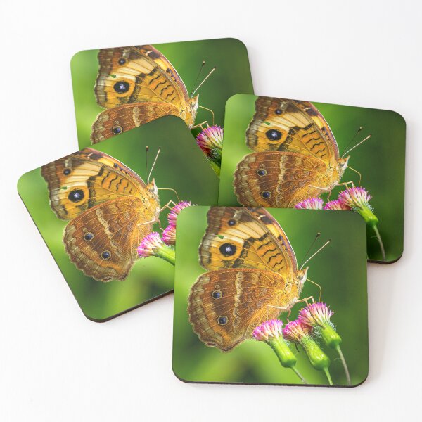 Item preview, Common buckeye butterfly designed and sold by PTY4u.