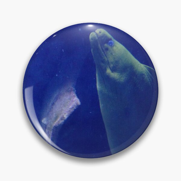 Item preview, Atlantis aquarium  designed and sold by Larrysphotos.