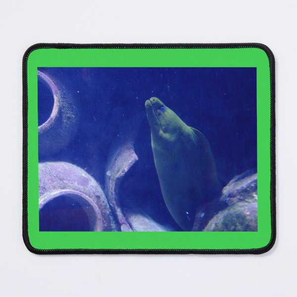 Item preview, Atlantis aquarium  designed and sold by Larrysphotos.