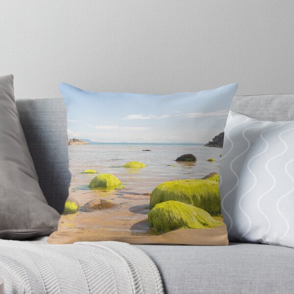 Aperçu de l'œuvre Plage de la baie de Fintragh créée et vendue par Adrian McGlynn.