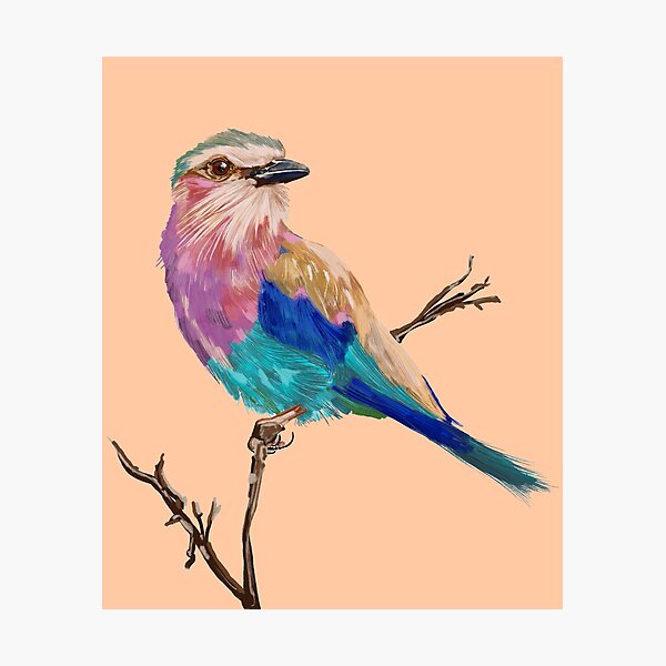 Item preview, Colorful Bird Perched on a Branch – Vibrant Nature Illustration designed and sold by Pandositive.