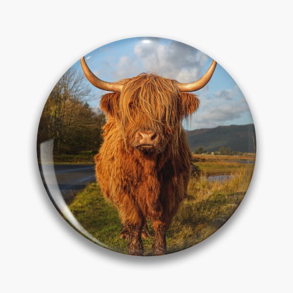 Item preview, Autumn, Isle of Mull designed and sold by Dave Guy.