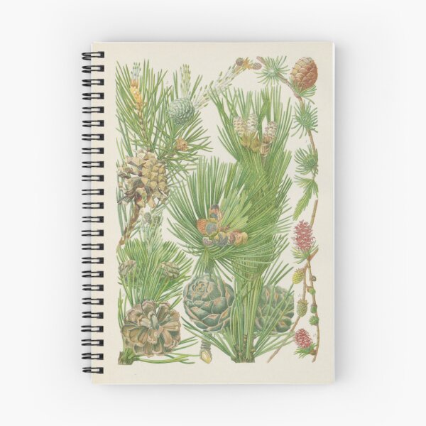 Item preview, Pine Botanical designed and sold by BlueSpecsStudio.